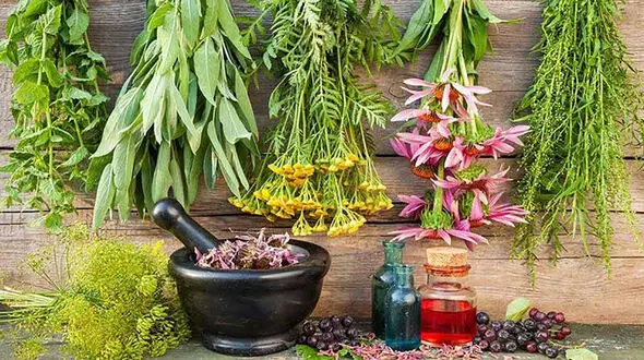 دمنوش های رفع سرماخوردگی + فیلم
