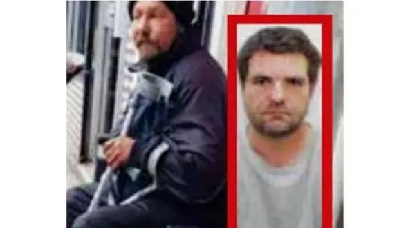 رفیق کشی به خاطرچند «سی دی» + عکس