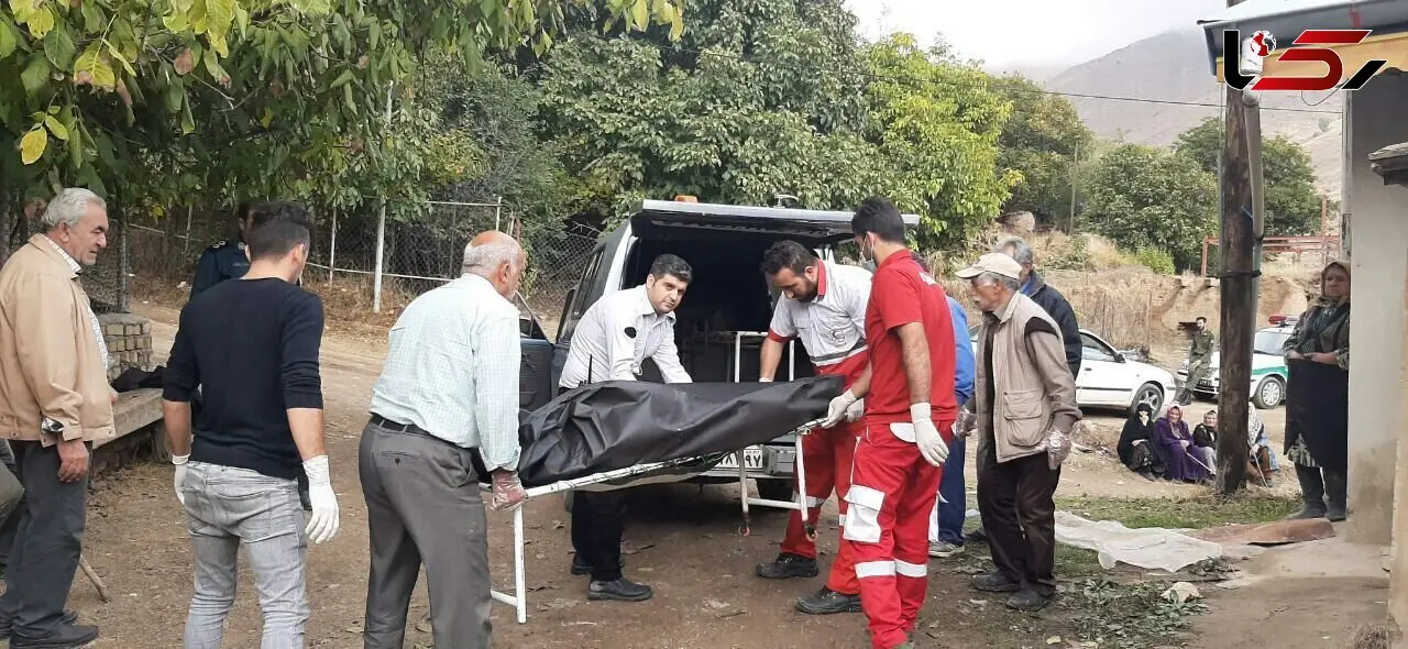 نشتی گاز در طارم قربانی گرفت