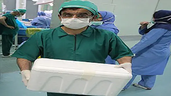 دانه انار جان کودک 21 ماهه را گرفت