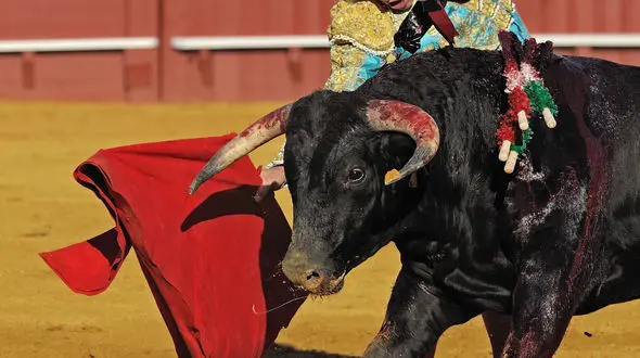 از تخریب ساختمان های غلات تا تصادف در مشهد