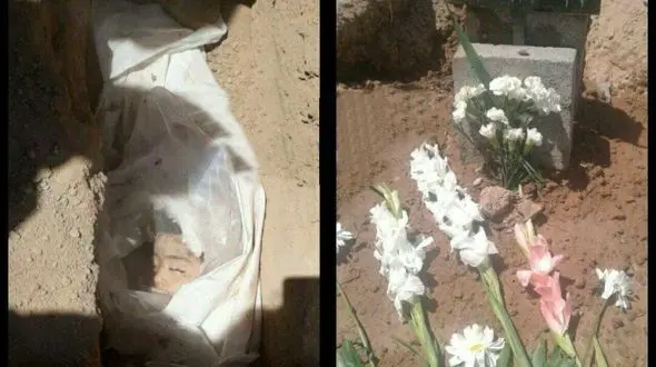 صدور کیفرخواست برای قاتل تبسم کوچولو  + عکس 