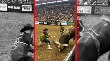 فیلم زمین خوردن گاوباز مقابل گاو خشمگین