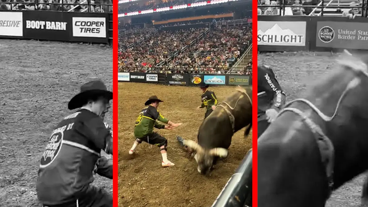 فیلم زمین خوردن گاوباز مقابل گاو خشمگین