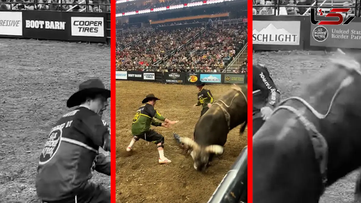 فیلم زمین خوردن گاوباز مقابل گاو خشمگین