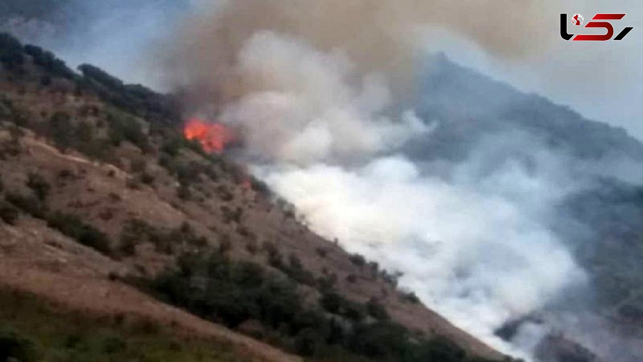 آتش سوزی جنگل ها در ارتفاعات گالیکش گلستان