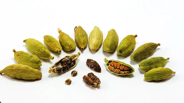 ادویه های دارویی برای کبد و کبد چرب / فیلم