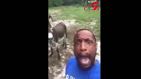 مردی که پس از همخوانی با الاغش زندگی اش تغییر کرد+ فیلم