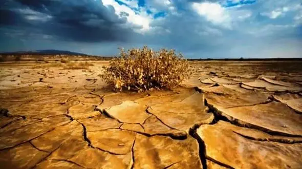 ایران آب ندارد/ به جایی می رسیم که نه آب داریم و نه غذا ! 