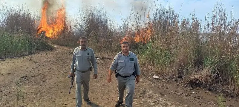 علی سجاد جلالی