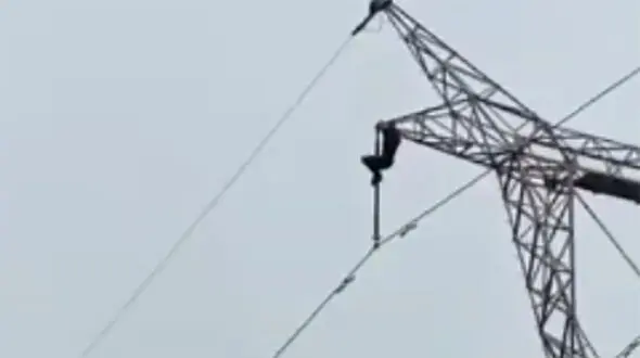 فیلم لحظه سقوط مرگبار یک مرد از دکل برق