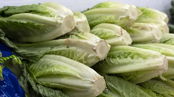 خیار و کاهو چه زمانی ارزان می‌ شوند؟