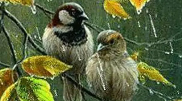 فال ابجد امروز / 30 دی + فیلم