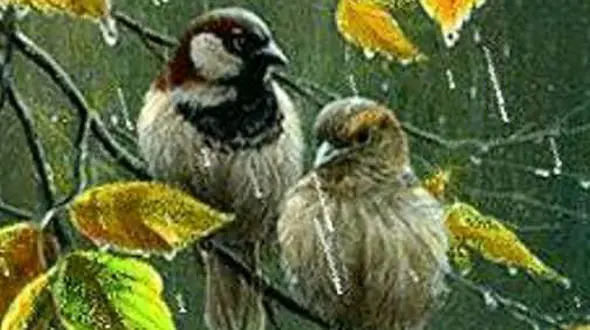 فال ابجد امروز / 30 دی + فیلم