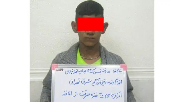دستگیری 3 نوجوان با 30  زورگیری +عکس