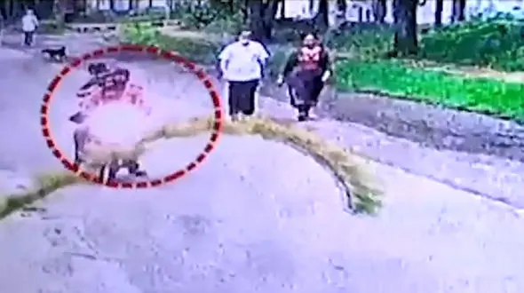 فرار از زندان به سبک فیلم های هندی! + فیلم