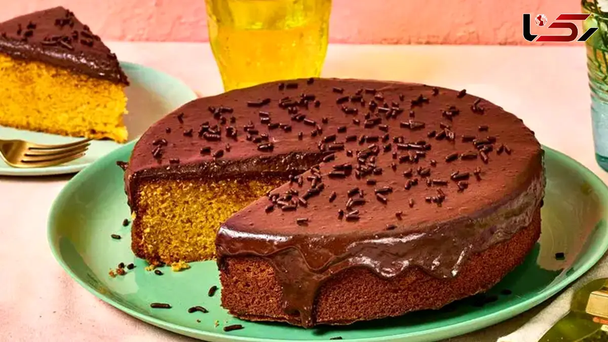 سفر به برزیل با یک برش کیک + فیلم