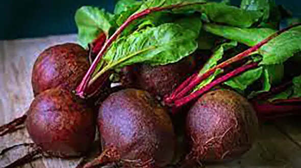 فایده های درمانی چغندر