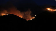 5 عکس از آتش سوزی جنگل های تونس