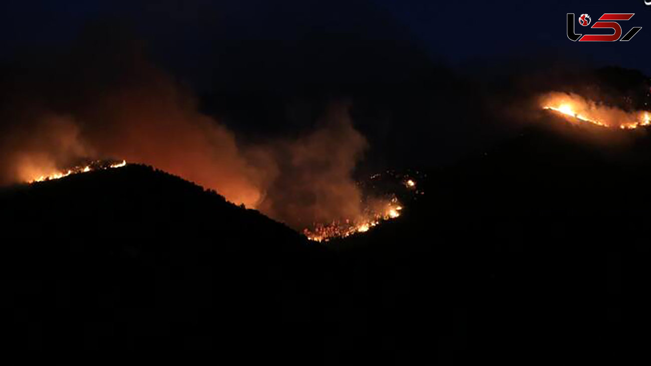 5 عکس از آتش سوزی جنگل های تونس