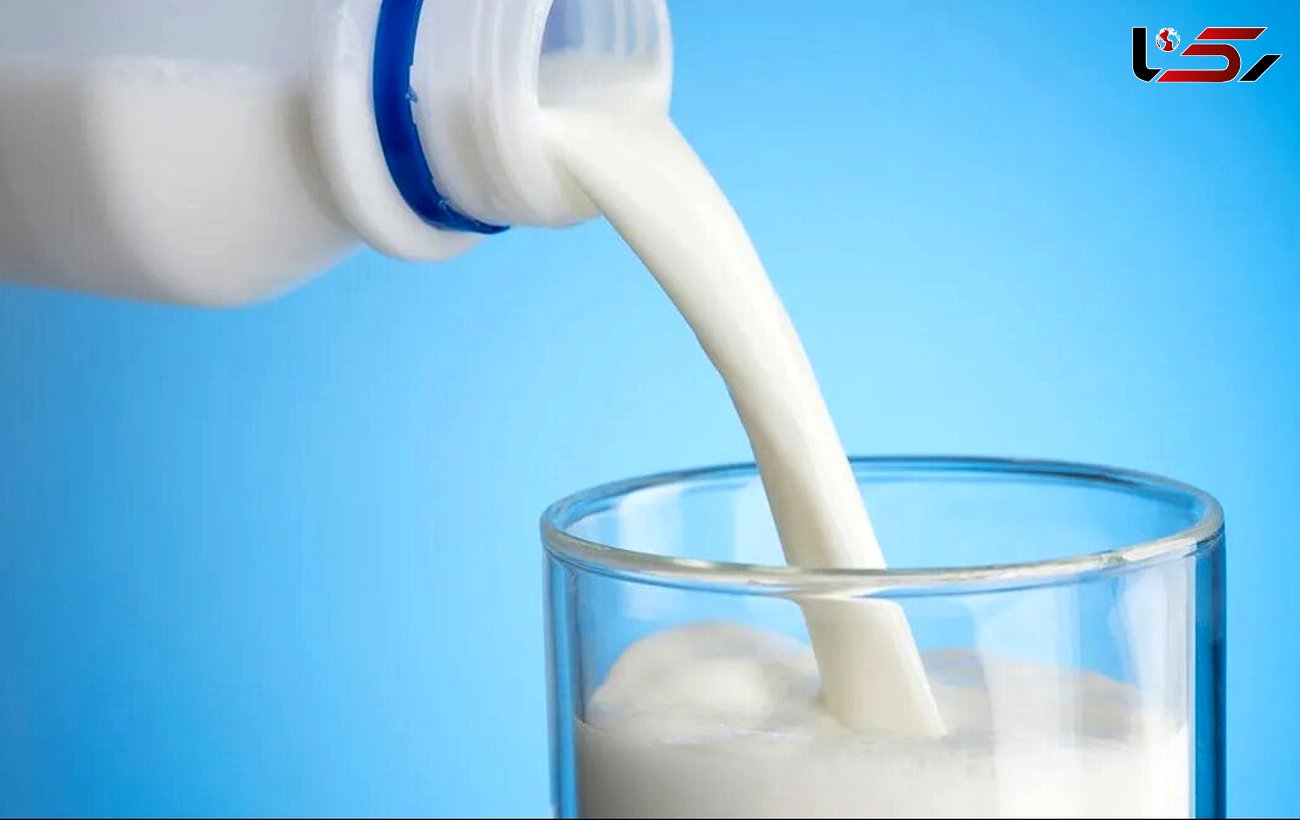 هزینه تولید شیر برای دامداران بیشتر از قیمت مصوب در می آید