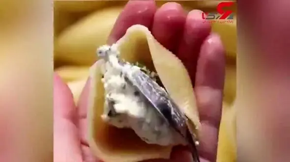 «تیمپانو»؛ ناهار خوشمزه ایتالیایی