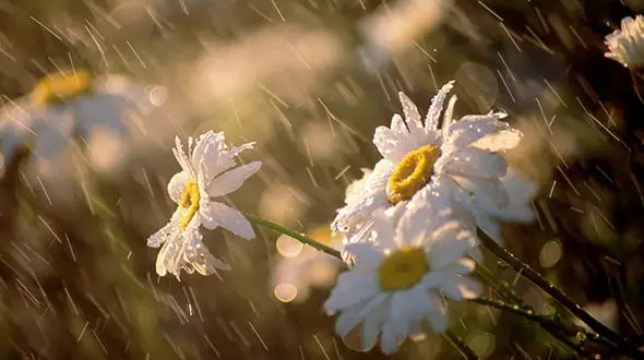 تهران بارانی خواهد شد