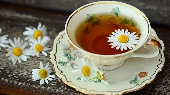 آب کردن چربی های مزاحم با یک فنجان دمنوش گیاهی