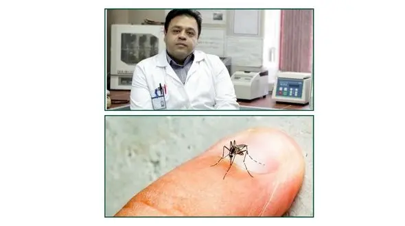 معاون وزیر بهداشت: پشه آئدس در ۵ استان کشور صید شده است/ دکتر ناجی:زباله نریزیم؛یک در بطری هم می تواند عامل شیوع تب دنگی شود