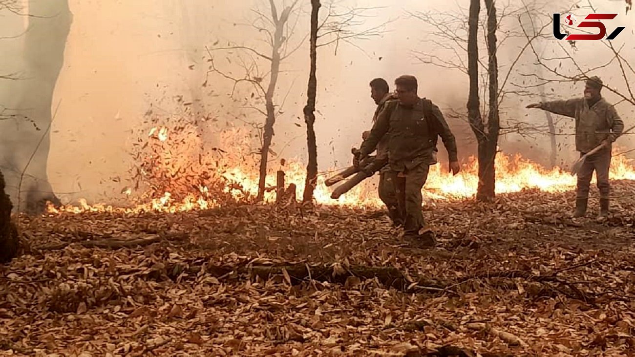 آتش در جنگل های گلستان / سوختن 20 هکتار از عرصه های طبیعی + فیلم