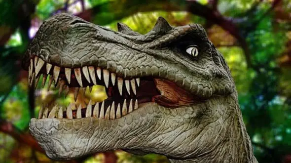 با انقراض دیناسورها،دقت بینایی پستانداران بالا رفت