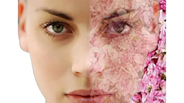 11 راز خوشمزه زیبایی