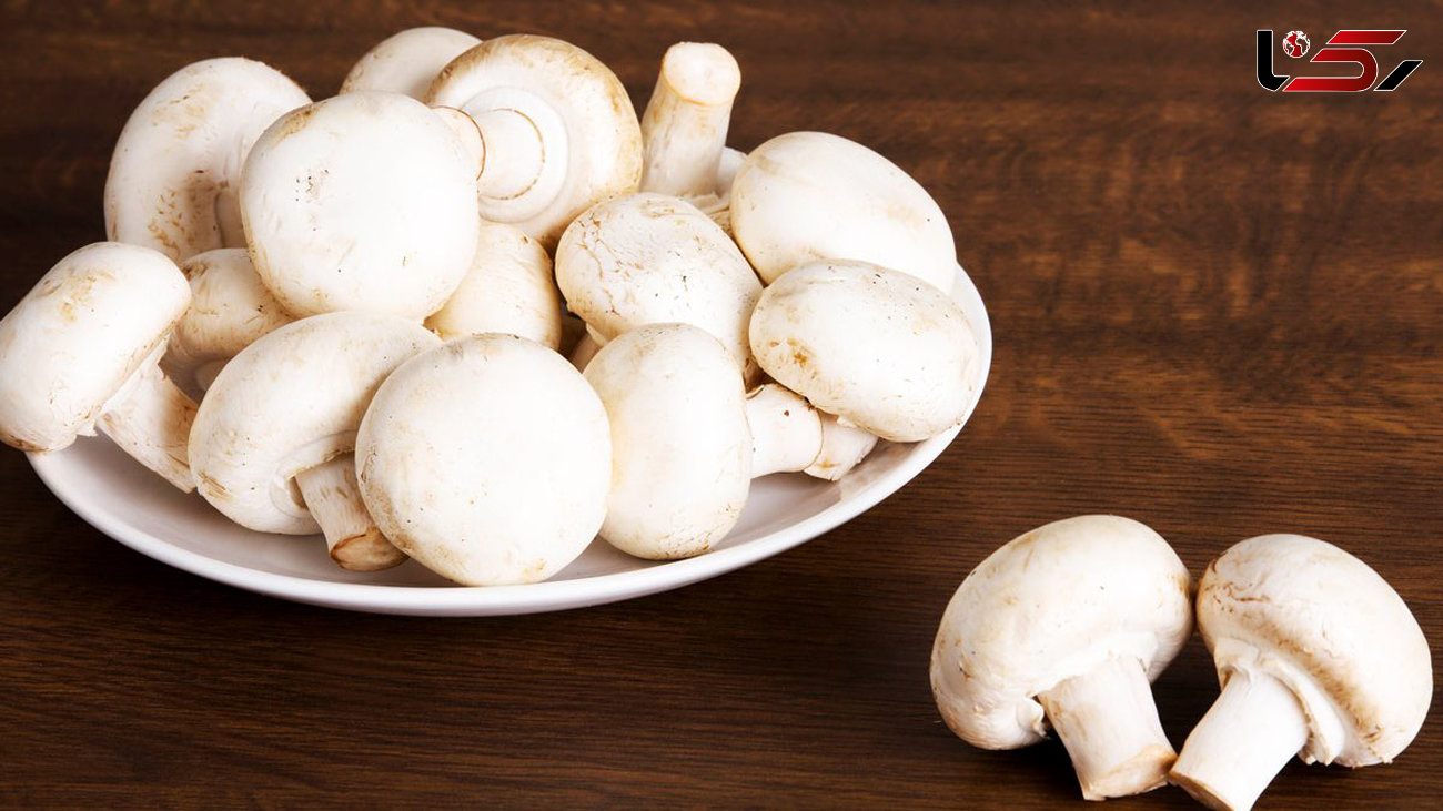 کاهش کلسترول بد خون با این ماده غذایی/خواص قارچ را بیشتر بشناسید
