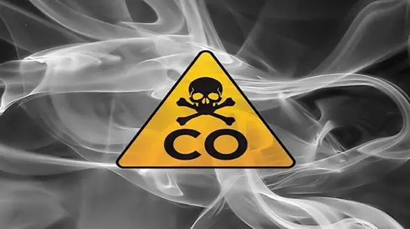 مرگ دو پرورش دهنده گل / شب کنار گلها خوابیدن و دیگر بیدار نشدند 