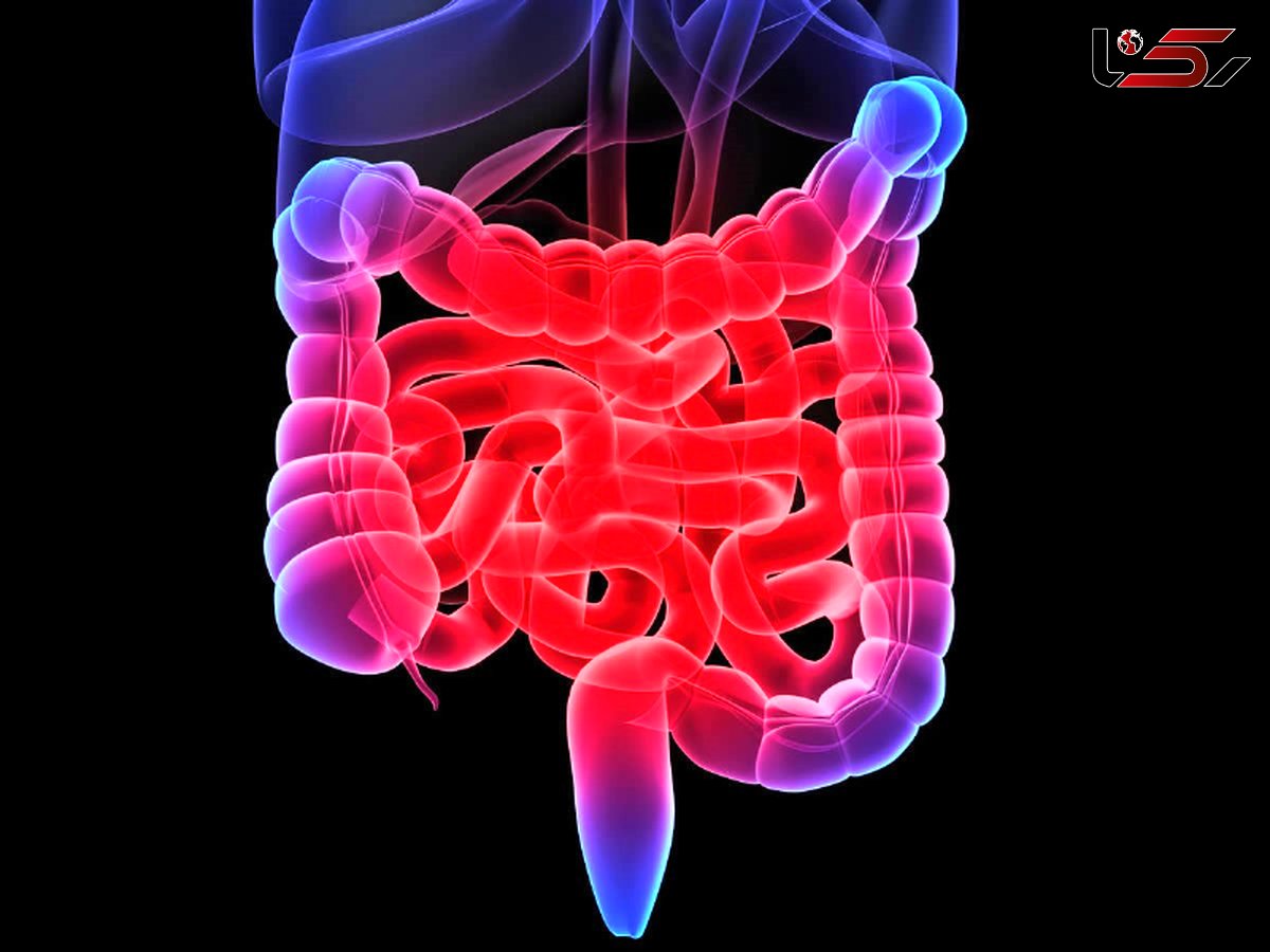 بهبود سلامت روده ها با این روش های مفید