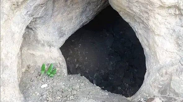 کشف 50 قطعه گنج نفیس در  زرین‌دشت  