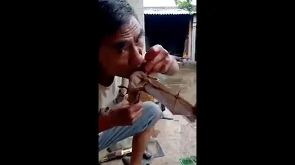 فیلم منزجرکننده از خوردن خفاش توسط مرد چینی