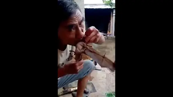 فیلم منزجرکننده از خوردن خفاش توسط مرد چینی