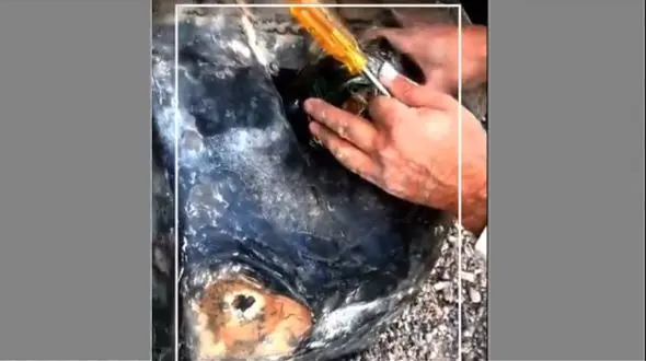 مرز دوغارون؛ محموله مرگ با ایکس‌ری شکار شد+ فیلم 