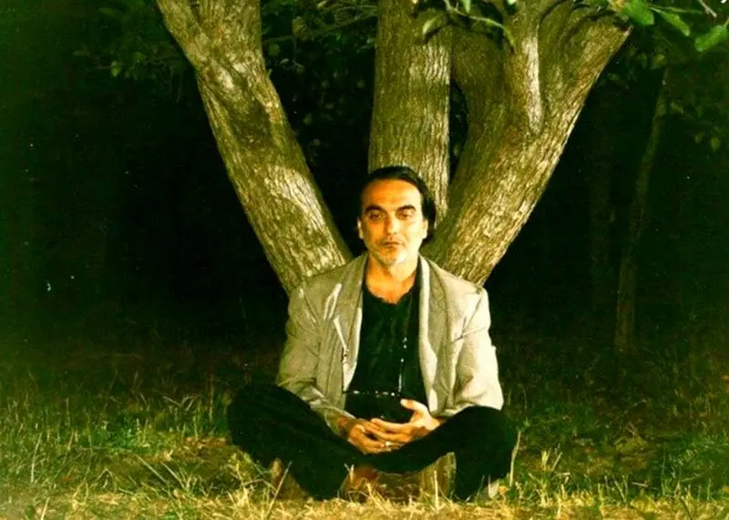 همایون ارشادی در درخت گلابی