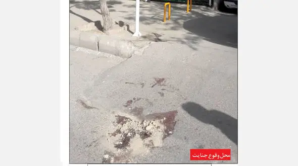 قتل هولناک پرستار بخش ویژه کرونا مشهد با 25 ضربه قمه / بازداشت مرد همسرکش در مسجد جمکران