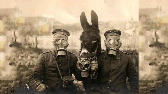 ما می میریم!/ شوخی با آلودگی هوای تهران+ عکس