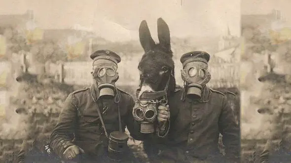 ما می میریم!/ شوخی با آلودگی هوای تهران+ عکس