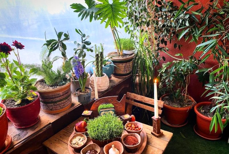 خانه شبنم قربانی