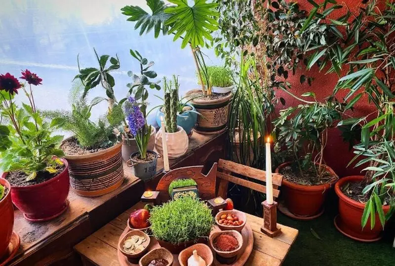 خانه شبنم قربانی