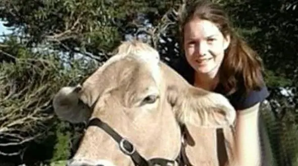 عجیب اما واقعی ! / گاوی که تصور می‌کند، اسب است ! + فیلم