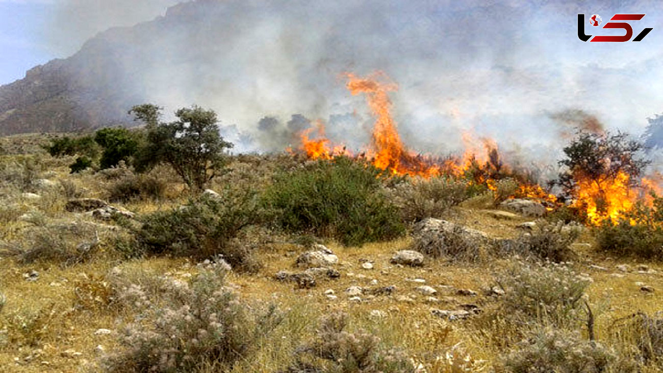 مهار آتش‌سوزی در منطقه حفاظت شده آق‌داغ خلخال