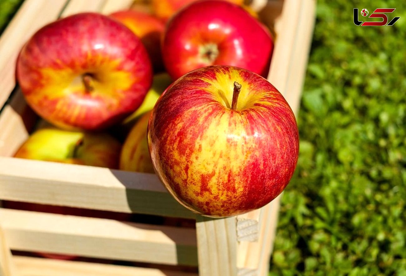 چرا قبل از غذا باید سیب خورد؟