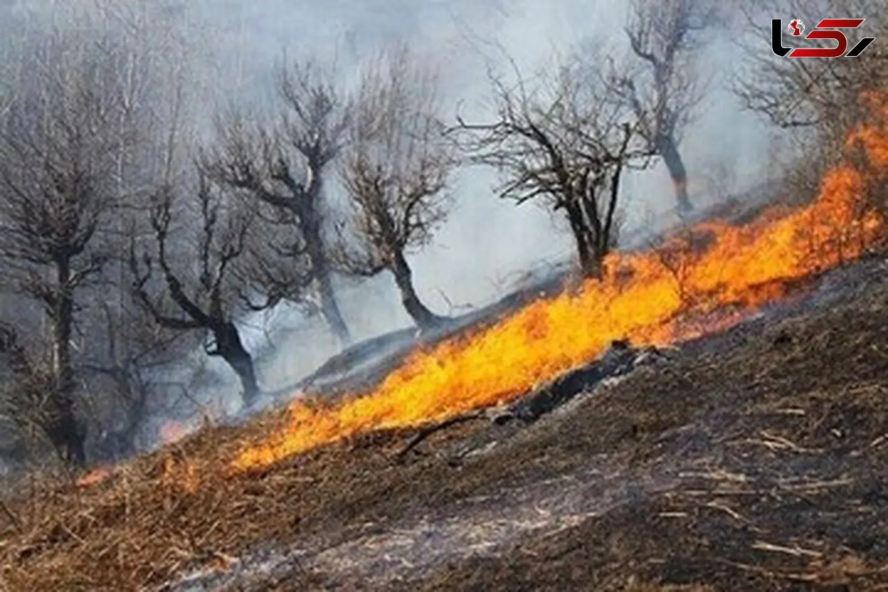 افزایش ۱۰ درصدی آمار آتش‌سوزی‌های نسبت به سال گذشته/برخی برای انتقام‌جویی اقدام به آتش زدن مراتع می‌کنند