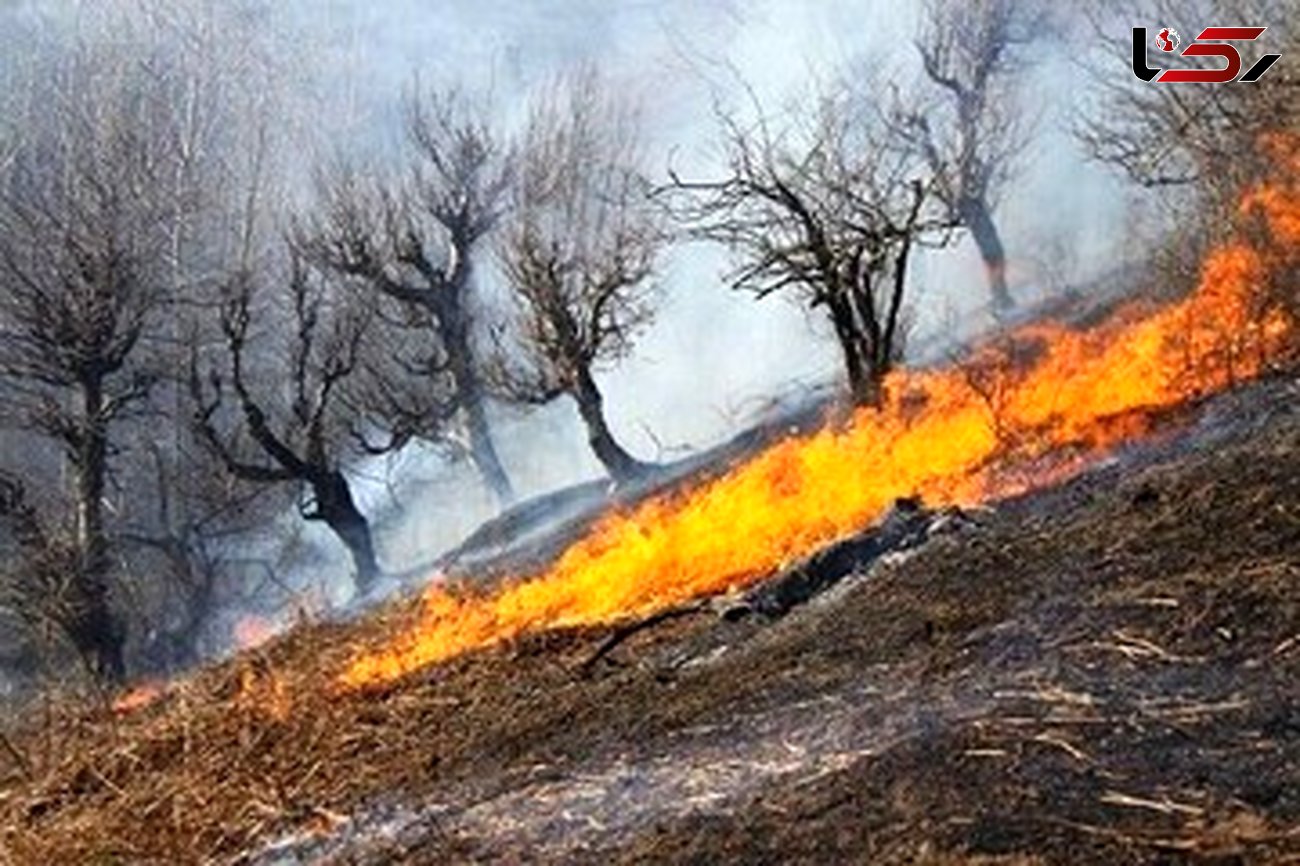 افزایش ۱۰ درصدی آمار آتش‌سوزی‌های نسبت به سال گذشته/برخی برای انتقام‌جویی اقدام به آتش زدن مراتع می‌کنند